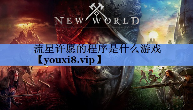 流星许愿的程序是什么游戏