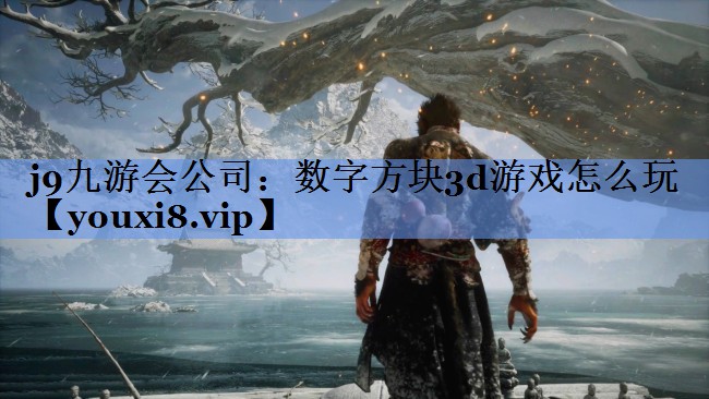 j9九游会公司：数字方块3d游戏怎么玩