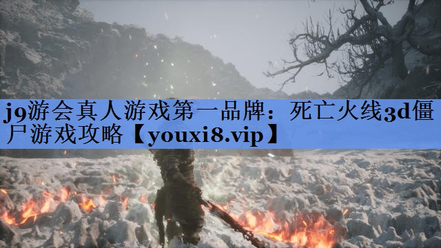 死亡火线3d僵尸游戏攻略