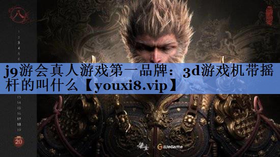 3d游戏机带摇杆的叫什么