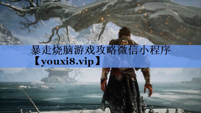 暴走烧脑游戏攻略微信小程序