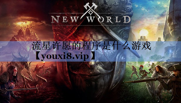 流星许愿的程序是什么游戏