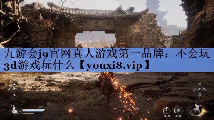 不会玩3d游戏玩什么
