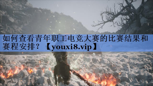 如何查看青年职工电竞大赛的比赛结果和赛程安排？
