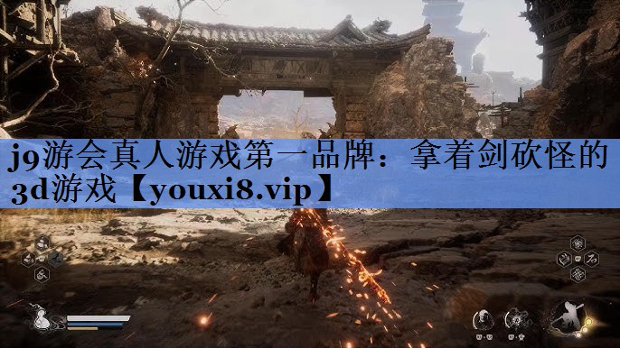 拿着剑砍怪的3d游戏