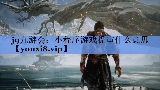 小程序游戏提审什么意思