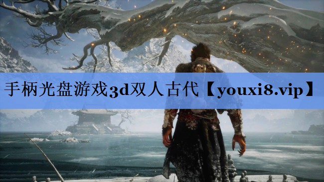 手柄光盘游戏3d双人古代