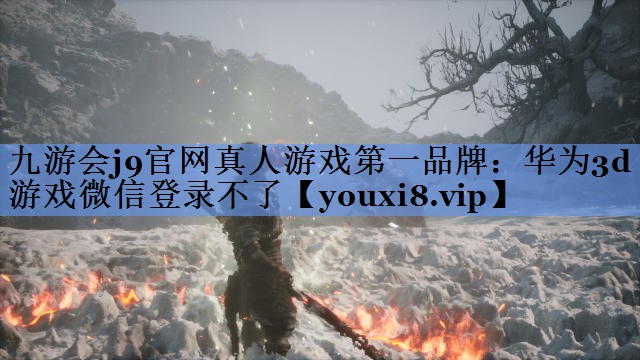华为3d游戏微信登录不了